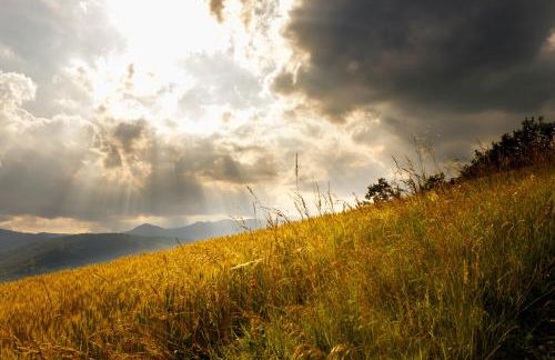 Agriturismo Carovane - Photo 5