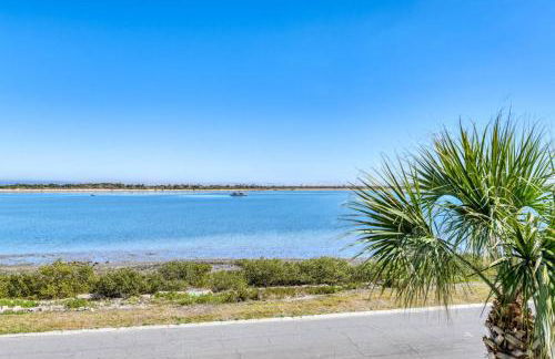 The Dolphins of Salt Run - Foto 59