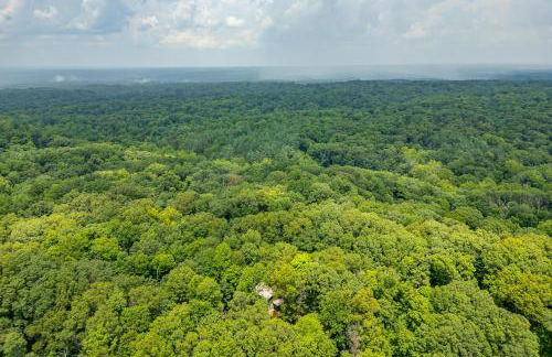 The Kelly Reed - Foto 36