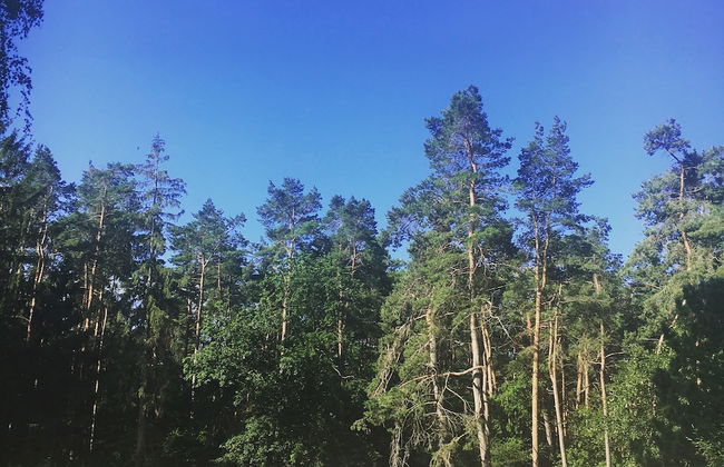 Ferienwohnung Sternenhimmel - Foto 17