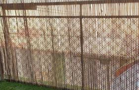 AMORE MÍO Hellín - Foto 32