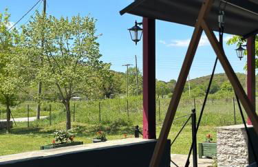 Λαμπρινής Guest House-Zagori - Foto 22