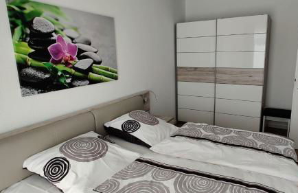 Wremer Seemöwe - Foto 6