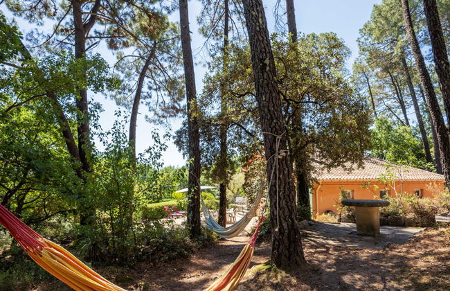 Les Ecureuils - Foto 24