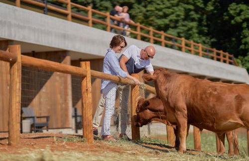 Inn the Ground - Foto 8