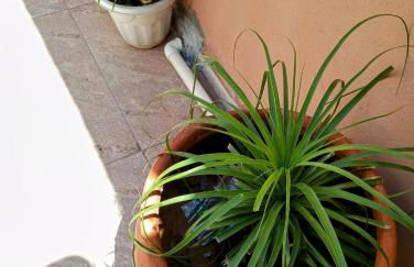 Riviera empreendimentos II - Foto 27