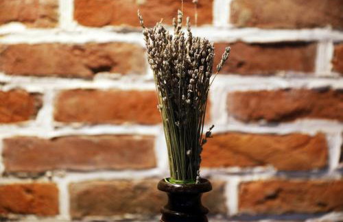 Rustic apartment Hidden - Photo 30