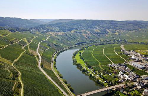 Bernkasteler Moselpanorama - Foto 20