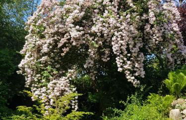 Schöne 120-qm-Ferienwohnung - Sonnenterrasse - Stadtgrenze Lübeck - Foto 19