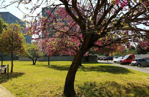 Navigli House - Foto 15