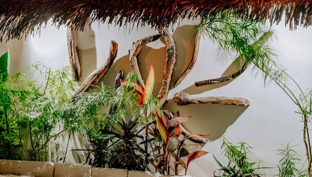 Entrada (vista interior)