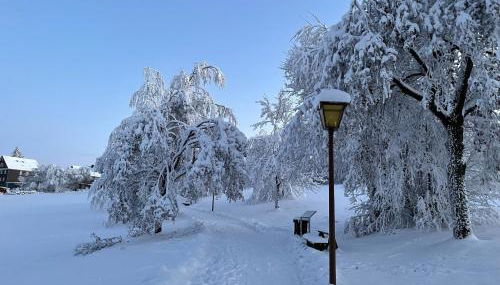 Gemütliche Ferienwohnung Harz Braunlage Hohegeiß - Foto 4