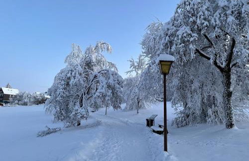 Gemütliche Ferienwohnung Harz Braunlage Hohegeiß - Foto 4
