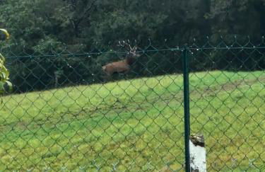 Gîte des chardreaux - Foto 11