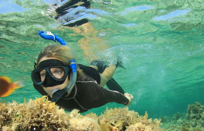 Orange Bay Snorkel Tour - Photo 11