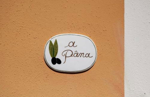 Appartamento Pana La Taggiasca - Foto 19