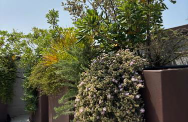 Casa Plauto Attico senza cucina without kichen - Foto 17