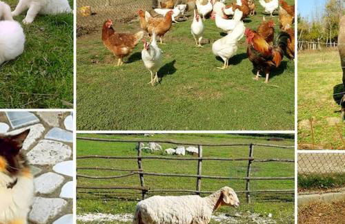 Casale Corsetti - Foto 14