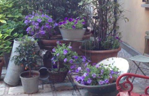 Albergo Residence Perosi - Foto 13