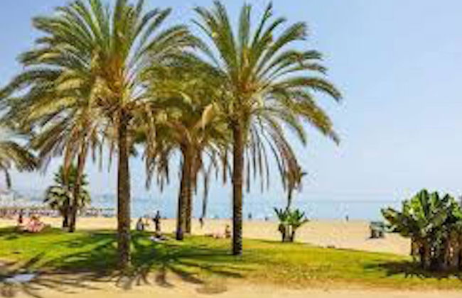 Malagueta Studio 2pax - Photo 24