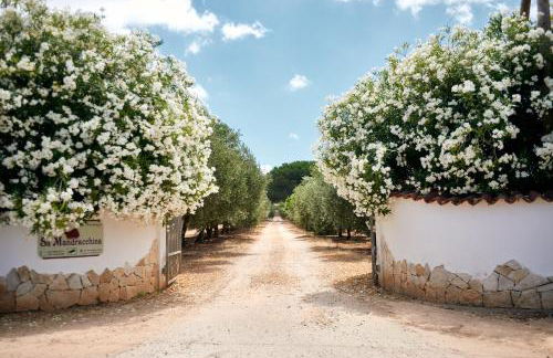 Sa Mandracchina - Foto 6