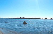 oasi scala dei turchi - Photo 18
