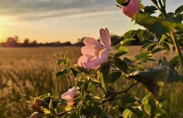 Haus am See - Foto 48