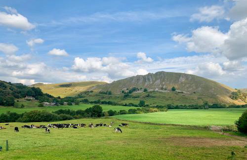 The Homestead - Foto 15