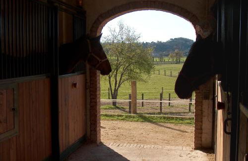 Trebisonda Country Resort - Foto 8