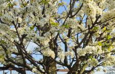 La tenuta di Eva - Foto 19