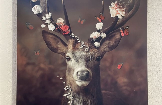 Panoramablick - Foto 22