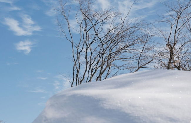 Andaru Collection Niseko - Foto 78