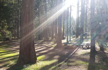 Blissful Solitude Cottage - Foto 64