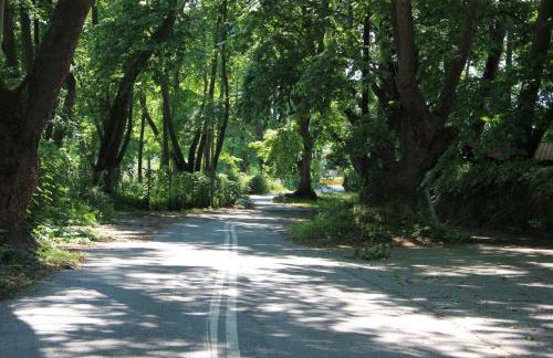 Hotel Geromichalos - Foto 53