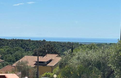 house solemonte - Foto 16