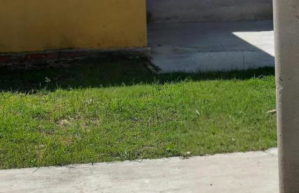 Large house with the best location in Parnaíba - Foto 31