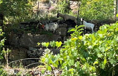 Gîtes de coussane - Photo 4