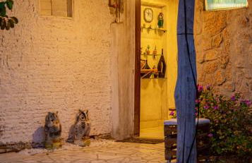 Paradise Camp - Foto 66