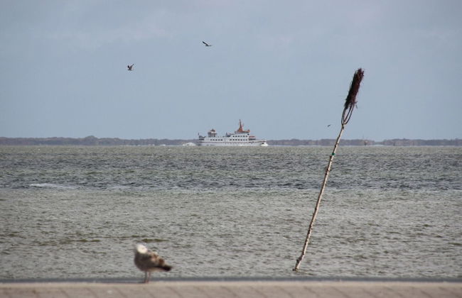 Holiday Bungalow Dornumersiel Terrace - Foto 12