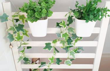 CENTER Santa Cruz, Alojamiento céntrico con gran terraza, cocina , salón y baños, todo privado - Foto 20