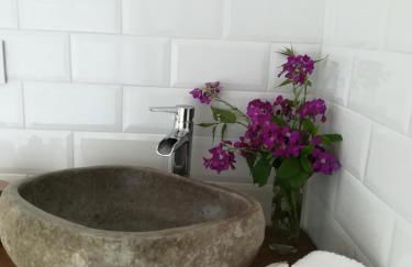 Pico San Carlos ll - Photo 13