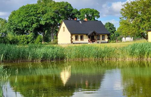 PRZYSTANEK nowEKOprzywno - Żółty Domek Pod Kasztanem - Foto 12