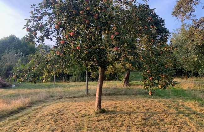 House in Sint Jansrade With Pool - Foto 25