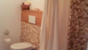 Bio-Ferienwohnung Bodensee Haus Franziskus - Foto 5, Shower