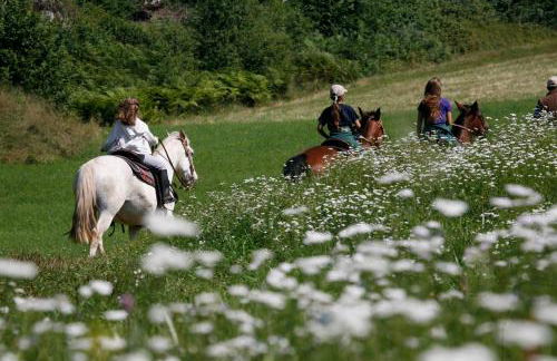 CASA MIFEL -- APP. GERANIO - Foto 12