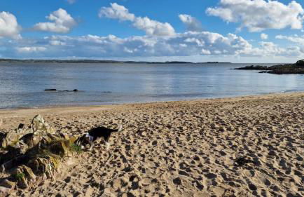 Nordlys Cottage - Foto 66