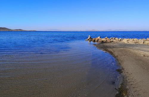 Apartamento Adan - Foto 43