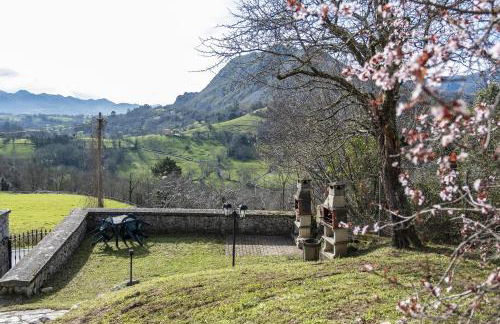 Escuelas de collía D - Foto 29