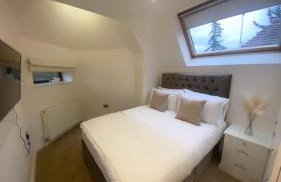 The Pines - Photo 14