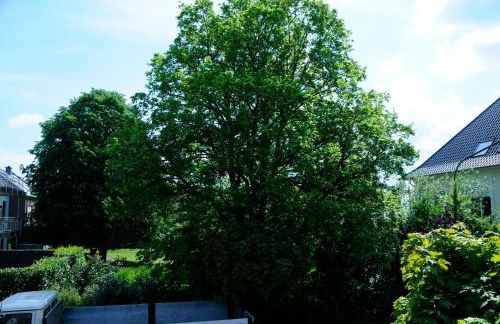 Bonsai-Ferienwohnung - Foto 33